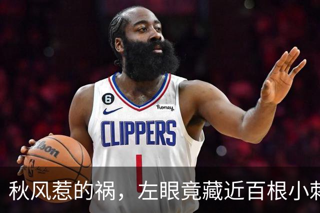 秋风惹的祸，左眼竟藏近百根小刺！